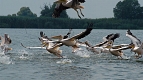 Transylvania Tour Collection | Romania Travel Tour Trips | Transylvania Tours - Pelicans2