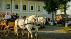 Transylvania Tour Collection | Romania Travel Tour Trips | Transylvania Tours - Castel Haller9