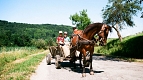 Transylvania Tour Collection | Romania Travel Tour Trips | Transylvania Tours - Horse and Cart ©Teodor Moldoveanu