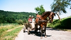 Transylvania Tour Collection | Romania Travel Tour Trips | Transylvania Tours - Horse and cart ©Teodor Moldoveanu