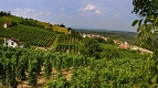 Eger Vineyards