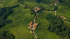 Slovenian Vineyards ©www.slovenia.info/Lenarcič