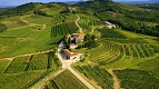 Friuli Vineyards